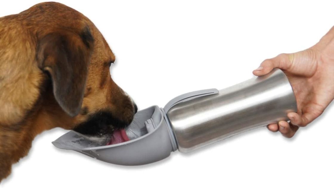 Les animaux familiers inoxydables de voyage poursuivent la bouteille d'eau chaude avec du silicone Flip Up Bowl 42oz/1200mL