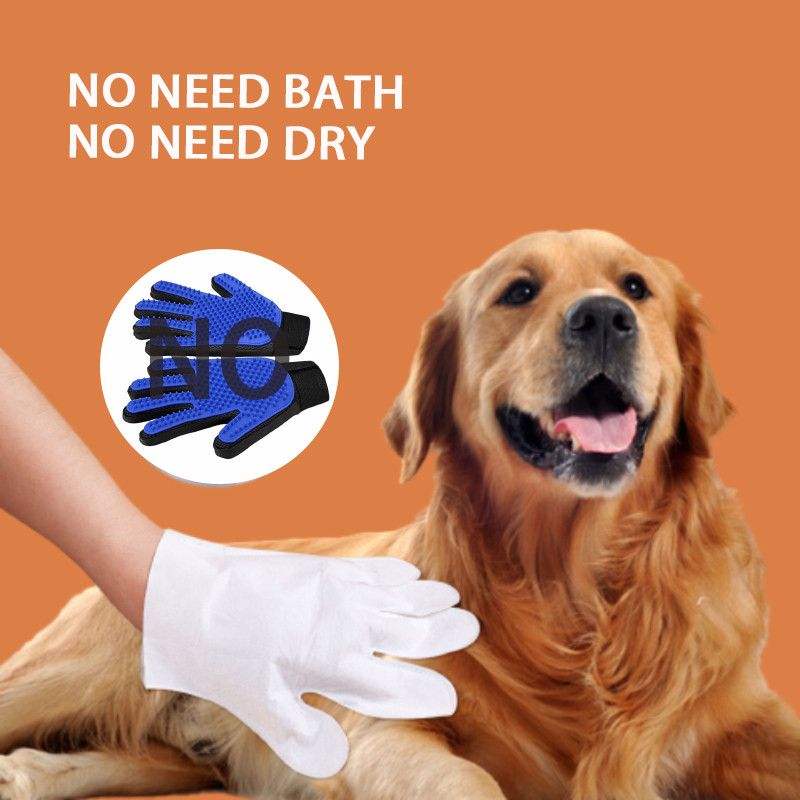Chien jetable émouvant sec de nettoyage extérieur Cat No Washing de gants d'animal familier de saleté de bactéries
