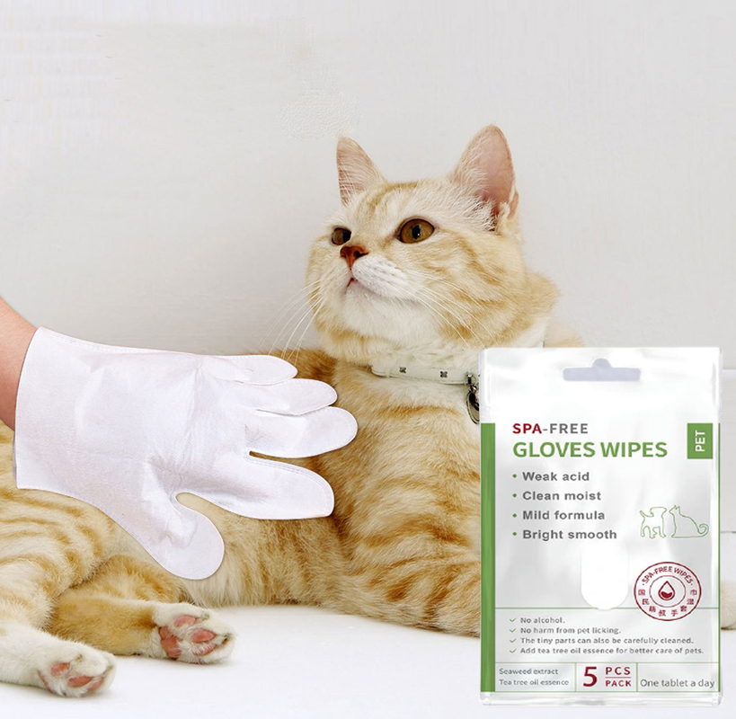 Lot de 5 gants de nettoyage jetables sans rinçage pour animaux de compagnie pour les pattes et les fesses du corps du visage