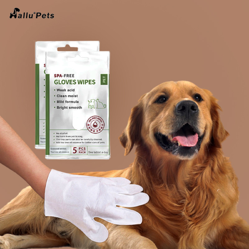 Lot de 5 gants de nettoyage jetables sans rinçage pour animaux de compagnie pour les pattes et les fesses du corps du visage